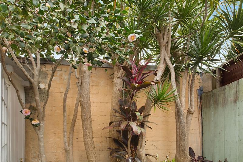 Paddington Garden Cottage With Fast Wifi Sydney Exterior photo